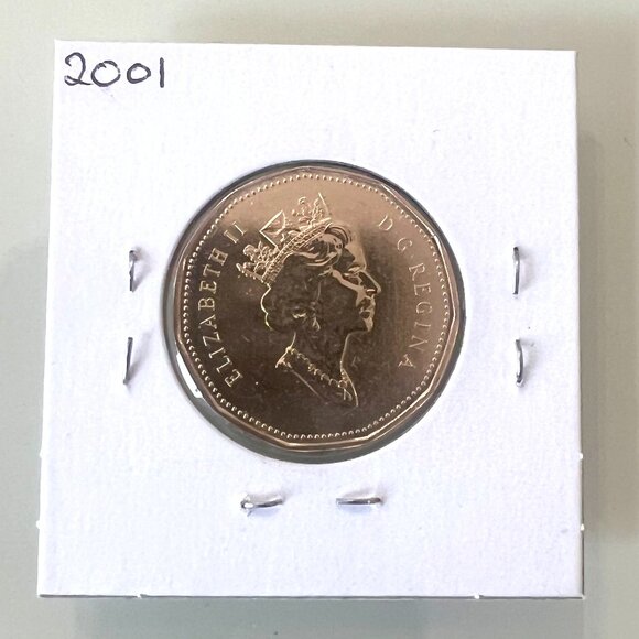 1998, 1999, 2000, 2001 Canada Specimen Finish $1 Dollar Loons! - Picture 10 of 10